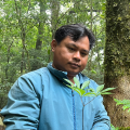 Mr. A Quang